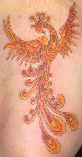 My second tattoo. This is inspired by a Russian firebird. Also completed in a single session of 6 hours. It is the black outline and 6 different colors layered. It is located on my right thigh and is approximately 10 inches tall. Tattoo done by Gerel of Studio 29 Tattoo. Russian Firebird Tattoo, Russian Firebird, Tall Tattoo, Graduation Tattoo, Firebird Tattoo, 29 Tattoo, Phoenix Magic, Russian Tattoos, Second Tattoo