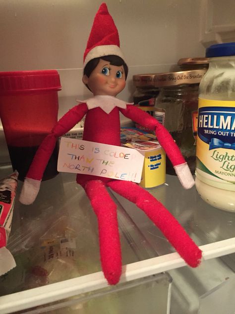 Day 7 - a game of Hide and Seek found Elfred "chilling" in the fridge! Elf On The Shelf In Fridge, Elf On The Shelf In The Fridge, Hide And Seek Elf On The Shelf, Elf On The Shelf Fridge Ideas, Elf On The Shelf Fridge, Elf In Fridge, Elf Letters, Xmas Elf, Elf Fun