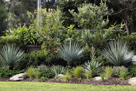 Windy Gardens | Secret Gardens: Sydney Landscape Architecture Wind Break Garden, Sydney Landscape, Windbreak Trees, Front Yard Design Ideas, Garden Home Ideas, Yard Design Ideas, Yard Landscape Ideas, Garden Front Yard, Front Yard Landscape