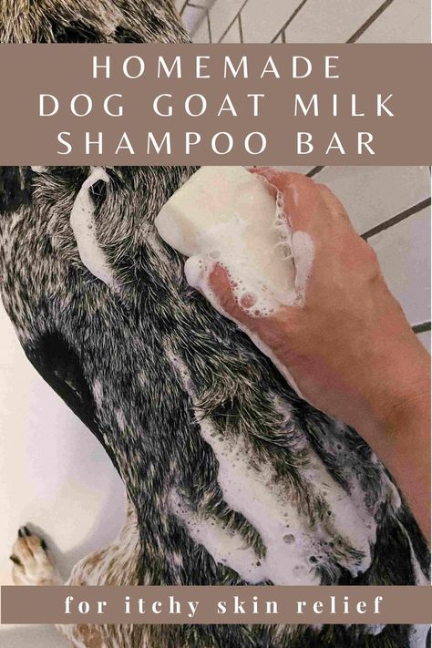 Dog Shampoo Recipe, Diy Shampoo Bar, Itchy Dog Skin, Diy Dog Shampoo, Homemade Dog Shampoo, Goat Milk Soap Recipe, Itchy Skin Relief, Dog Shampoo Bar, Shampoo Bar Recipe