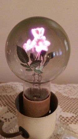 Aerolux Light Bulb, Neon Gas, Filament Bulb Lighting, Edison Lamp, Vintage Light Bulbs, Vintage Bulb, Lightbulbs, Neon Glow, Flower Lights