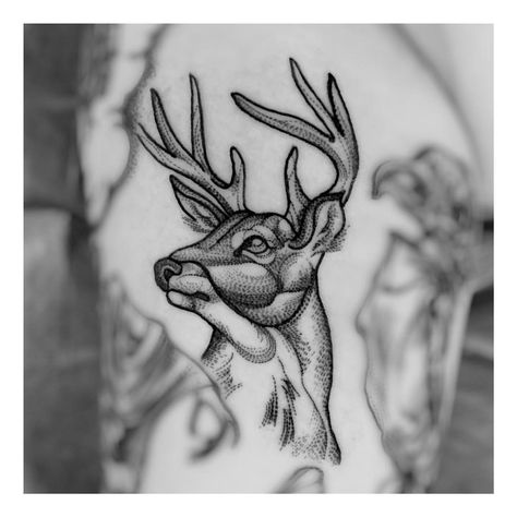 Brandon Badrick Tattoo  Deer head tattoo #traditional #traditionaltattoo #traditionalart #americantraditional #americantraditionaltattoo #americantraditionaltattoos #newtraditional #newtraditionaltattoo #neotraditionaltattoo #neotraditional #neotraditionaltattoos #sleevetattoo #color #colortattoos #tattoosformen #tattoosforwomen #tattoo #tattoos #art #artist #ink #inked #arizonaartist #azartist #arizonatattooartist #rosetattoo #traditionalflowertattoo #bullskull #bullskulltattoo Traditional Deer Head Tattoo, White Tail Deer Tattoo, Head Tattoo Traditional, Hellhound Tattoo, Tattoo Deer, New Traditional Tattoo, Deer Head Tattoo, Traditional Chest, White Tail Deer