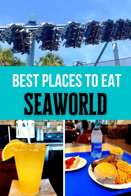 Seaworld Orlando Tips, Seaworld (orlando), Sea World Orlando, Discovery Cove Orlando, Tampa Restaurants, Busch Gardens Tampa Bay, Orlando Restaurants, Lego Land, Busch Gardens Tampa