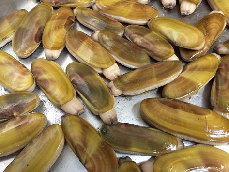 If you’re going razor clamming, the Tokeland Hotel makes a fine home base — and chef Heather Earnhardt also makes a best-ever chowder. (Bethany Jean Clement / The Seattle Times) Razor Clam Chowder Recipe, Razor Clam Chowder, Razor Clams Recipe, Crunchy Life, Clam Chowder Recipe, Chowder Recipe, Clam Recipes, Burger Restaurant, Clam Chowder