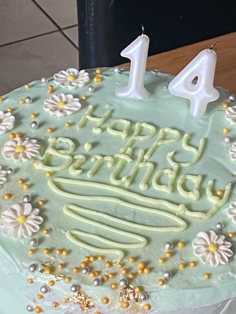 Birthday Cake 14th Girl Aesthetic, 13 Year Birthday Cake, Fourteen Aesthetic, Aesthetic 14th Birthday Cake, Cake 14th Birthday Girl, Cakes For 14th Birthday Girl, 14th Birthday Cake Ideas, 14th Birthday Aesthetic, 15th Birthday Cake Ideas