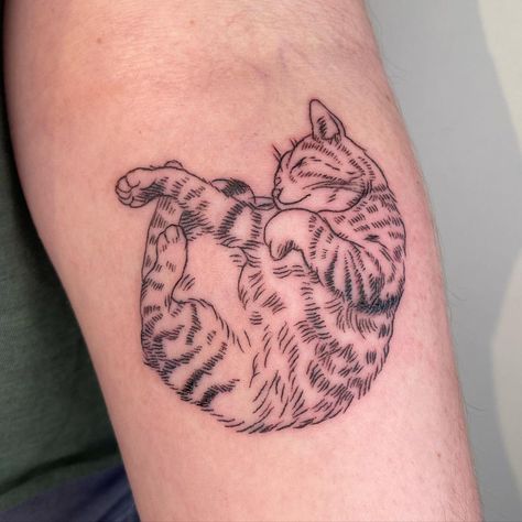 Cat Tattoo Design, Cat Tattoo Simple, See Tattoo, Cat Tattoo Small, Special Tattoos, 4 Tattoo, Cat Tattoos, Cat Tattoo Designs, Back Tattoo Women