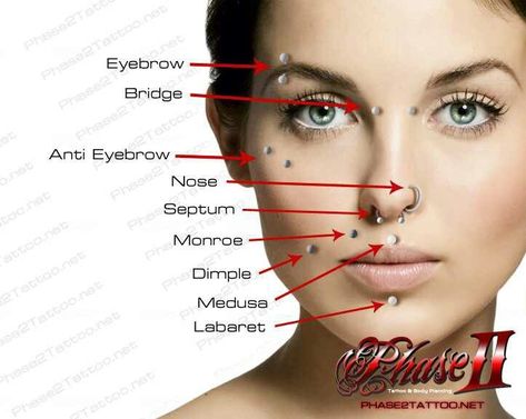 Ornamental dress Piercing chart 2 Piercings Mouth, Piercing No Rosto, Piercing Facial, Anti Eyebrow, Shots Snap, Piercing Bouche, Piercings Nose, Tongue Piercings, Mouth Piercings