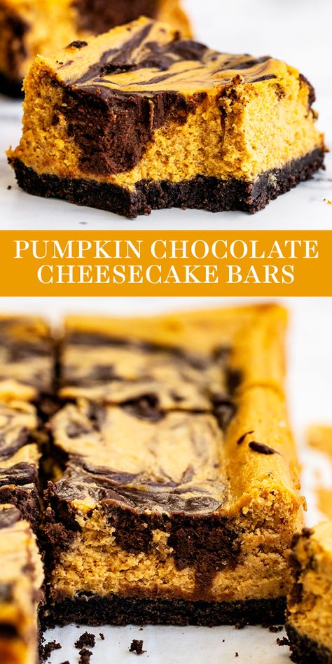 Chocolate Pumpkin Desserts, Pumpkin Chocolate Cheesecake, Chocolate Cheesecake Bars, Pumpkin Cheesecake Bars, Pumpkin Desserts, Chocolate Graham Crackers, Cheesecake Bars, Pumpkin Chocolate, Pumpkin Dessert