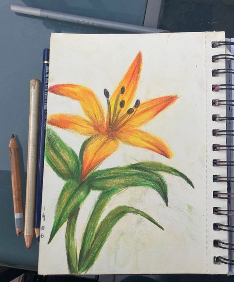 Color Pencil Inspiration, Flower Field Drawing Pencil, Colored Pencil Flower Drawing, Simple Colour Pencil Drawings, Colored Pencil Combinations, Colour Drawing Ideas, Colored Pencil Flowers, Pencil Inspiration, Rainbow Drawing