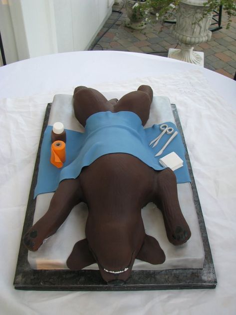 cake of dog on surgery table for spay or abdominal exploratory. #veterinary #vetmed #cake #dog #surgery #spay #exploratory Vet Cake, Veterinary Humor, Vet Tech Humor, Veterinarians Medicine, Vet Notes, Veterinary Tech, Vet Life, Med Vet, Veterinary School