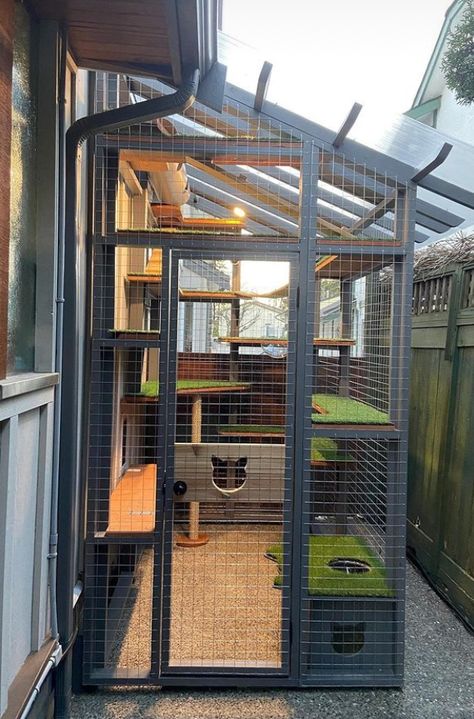 Cat Outdoor Cage, Cat Cage Ideas Outdoor, Cat Indoor Cage, Cat House Design Outdoor, Cat Catio Enclosure, Cat Cage Ideas Indoor, Catios For Cats Diy Small, Outdoor Animal Enclosure, Cat Cages Outdoor