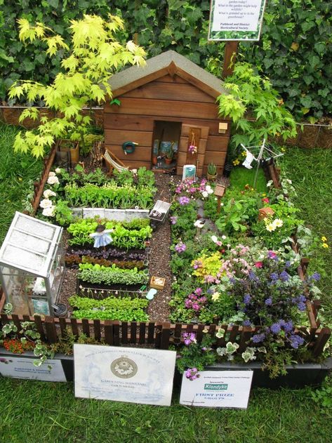 Miniature farm Fairy Garden Design Ideas, Glass Greenhouse, Tiny Garden, Fairy Garden Designs, Backyard Vegetable Gardens, Faeries Gardens, Mini Fairy Garden, Magic Garden, Pallet Garden