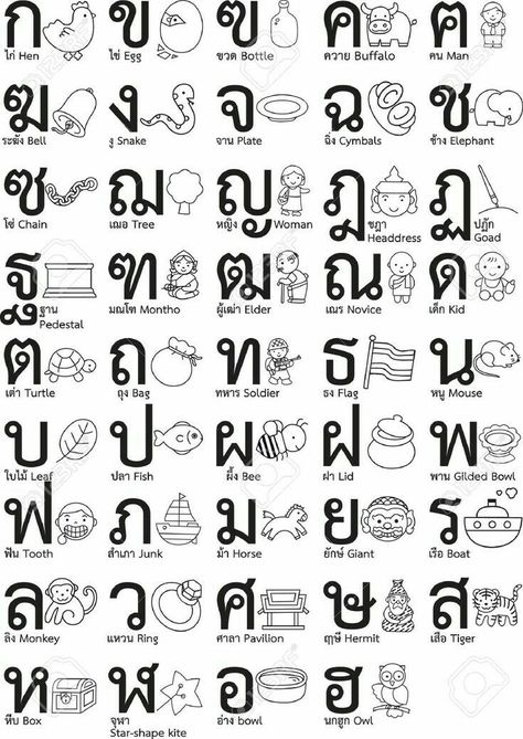 Draw Alphabet, Thai Font, Thailand Language, Thai Alphabet, Learn Thai Language, Thai Words, Learn Thai, Thai Language, Writing Systems