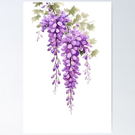 "purple wisteria aquarelle painting, cutout" Sticker for Sale by EmeraldeaArt | Redbubble Wisteria Drawing Simple, Painting Wisteria, Wisteria Painting, Wisteria Art, Cutout Poster, Dangling Flowers, Aquarelle Painting, Wisteria Tree, Purple Wisteria