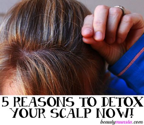 5 Reasons to Detox Your Scalp Detox Hair And Scalp, Diy Scalp Detox, Dry Scalp Remedy, Natural Beauty Hacks, Carrier Oils For Skin, Hair Detox, Maintaining Healthy Hair, Essential Oils For Skin, Stimulate Hair Growth