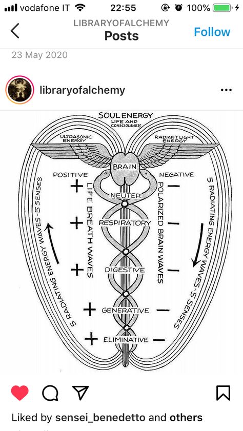 Staff Of Hermes Tattoo, Hermes Staff Tattoo, Hermes Staff, Staff Tattoo, Staff Of Hermes, Hermes Tattoo, Caduceus Tattoo, Leg Sleeve Tattoo, Leg Sleeve