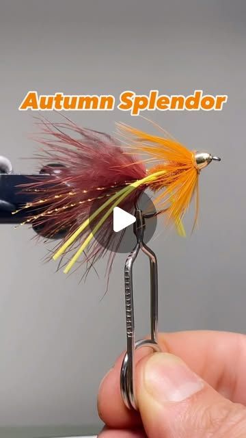 Dave Aplin on Instagram: "Autumn Splendor variation with swept legs and soft hackle.
⁣⁣
Recipe:⁣⁣
- @mustadfishing r73, size 6⁣⁣
- brass conehead, small, gold⁣⁣
- .015 wire⁣⁣
- 140 denier, tan⁣⁣
- marabou, rusty brown⁣⁣
- krystal flash, gold⁣⁣
- bugger chenille, rusty brown⁣⁣
- round rubber legs, yellow⁣⁣
- soft hackle, crawdad orange⁣⁣
- SLF dubbin, crayfish orange ⁣⁣
⁣⁣
#flyfishing #flytying #flytyingtutorial #streamerfly #troutflies #flyghtclubarsenal #woollybugger #bassflies @regal_vise @harelinedubbin @mustadflyhooks" Yellow Soft, Instagram Autumn, Fly Tying, Fly Fishing, Size 6