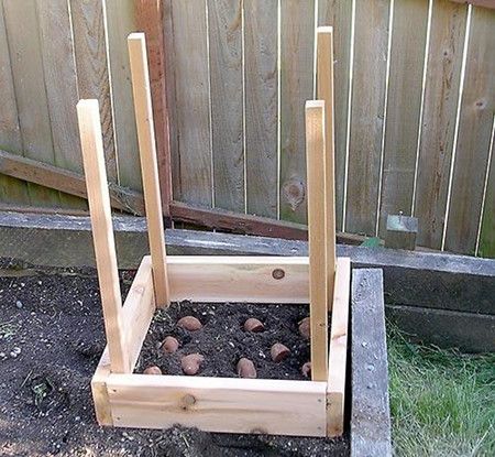 Wooden square potato tower DIY idea and instructions. Vertical potato tower growing! Save space and store potatoes and also harvest easier! Potato Box, Grow Potatoes In Container, Potato Tower, Potato Gardening, Garden Boxes Diy, Garden Boxes Raised, How To Store Potatoes, Diy Raised Garden, Tower Garden