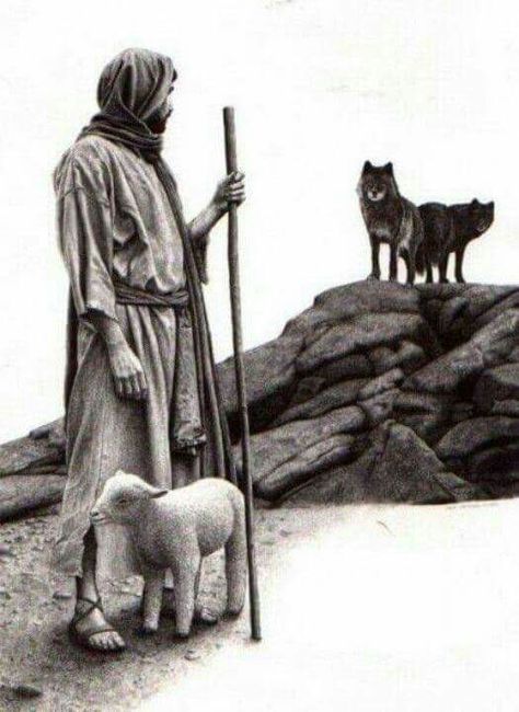 Shepherd lamb wolf Sheep Pictures, Christian Pics, 7 Archangels, Blessed Trinity, Panna Marie, Woord Van God, Santi Cattolici, Ayat Alkitab, African Artists