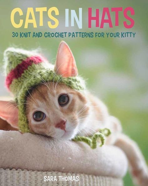 Cute Cat in an Amusing Knitted Dinosaur Hat - KnitHacker Knitted Dinosaur, Hats For Cats, Cats In Hats, Cat Hat Pattern, Dinosaur Hat, Pet Sweaters, Cute Blankets, Knitted Cat, Doll Wardrobe