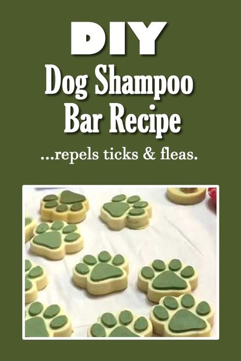 Pet parents who choose the best all-natural dog shampoo will notice a dramatic improvement in their pet's appearance  and this is a result of a higher quality product that works better with their animals. Which dog shampoo will best suit my dog? Dog Shampoo Bar Recipe, Dog Soap Bar Recipe Melt And Pour, Diy Pet Product, Diy Dog Products, Dog Soap Bar Recipe, Dog Diy Stuff, Dog Deodorizer, Dog Shampoo Recipe, Shampoo Diy