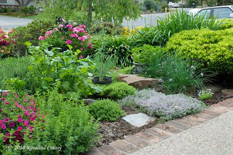 Edible Landscape Inspiration - The Restful Home Landscaping With Roses, Rose Garden Design, Front Gardens, Herb Garden Design, Small Front Yard, Hillside Landscaping, Edible Landscaping, Veg Garden, Gardening Advice