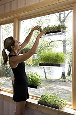 Amazon.com: Double Veg Ledge Suction Cup Window Shelf – Create an Indoor Garden, Hold Your Planter pots, Seed Starter, Figurines on Your Window. Grow Herbs, Microgreens, Succulents, Flowers. Sleek, Dependable.: Gateway Pots Storage, Window Shelf For Plants, Window Plant Shelf, Green Shelves, Wall Storage Shelves, Window Plants, Window Shelves, Pot Storage, Window Planters