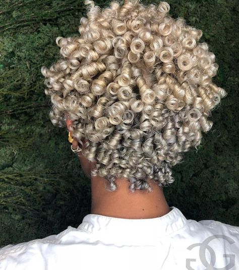 Blonde Twa, Blonde Curly Hair, Pelo Afro, Pin Curls, Sassy Hair, Big Chop, Penteado Cabelo Curto, Hair Crush, Short Natural Hair Styles