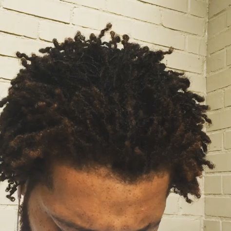 Mens Dreadlock Styles, Dreadlock Styles, Sisterlocks, Locs Hairstyles, Locs, How To Dry Basil, Hair Inspo, I Can, Hairstyles