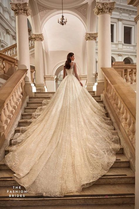 November 1, 2023 – The FashionBrides Wedding Dresses Lace Ballgown Princesses, Fairytale Wedding Dress Princesses, Castle Wedding Dress, Train Luxury, Wedding Ballgown, Beige Wedding Dress, Long Sleeve Ball Gown Wedding Dress, Sweatheart Neckline, Expensive Wedding Dress