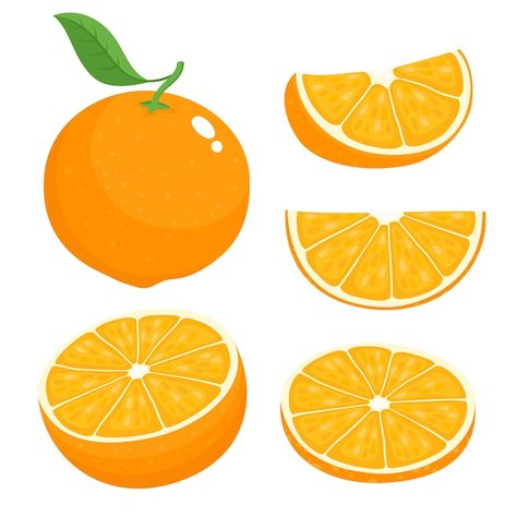 Orange Illustration, Pineapple Vector, Orange Vector, Cartoon Orange, Juicy Orange, Fruit Orange, Fruit Slice, Learning Graphic Design, Cartoon Tattoos