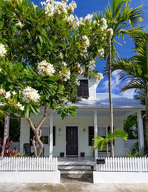 Key West Florida Houses, Key West Landscaping, Key West Architecture, Key West Hemingway House, Key West Duval Street, Key West Style, Smathers Beach Key West, Seaside Florida, Paver Driveway