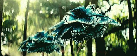 Snow White And The Huntsman Butterflies GIF - SnowWhiteAndTheHuntsman Butterflies Blue - Discover & Share GIFs Butterfly Gif, Dandelion Yellow, Angels In Heaven, Nature Gif, Blue Butterfly, Black Bird, Beautiful Creatures, Beautiful Images, Animated Gif