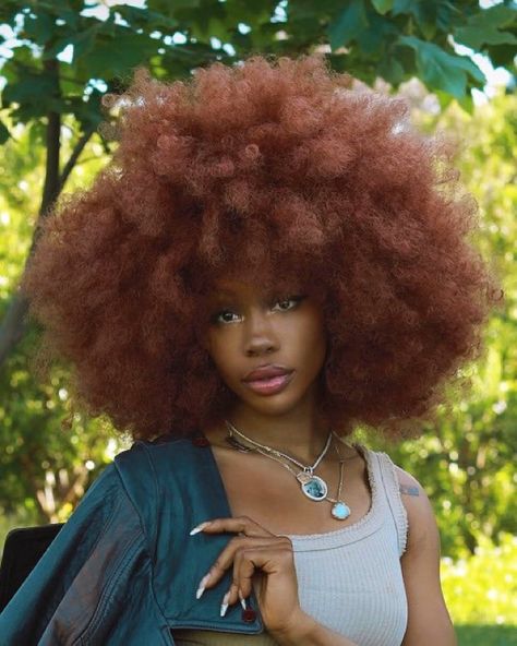 1,241 Likes, 9 Comments - SZA LOOKS (@szalooks) on Instagram: “SZA shot by Blair Cadwell for Wonderland Magazine.” Afro Hairstyles, Black Girls Hairstyles, Big Hair, Black Is Beautiful, Dyed Hair, Beautiful Hair, Girl Hairstyles, Pretty People, Hair Inspiration