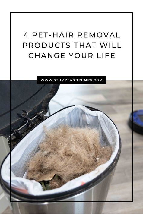 Cleaning Hacks For Dog Hair, How To Clean Dog Hair In House, Cleaning Dog Hair Off Couch, How To Manage Dog Hair, Dog Shedding Hacks, How To Control Dog Hair In The House, How To Clean Dog Hair Off Couch, Dog Hair Cleaning Life Hacks, Cleaning Dog Hair House