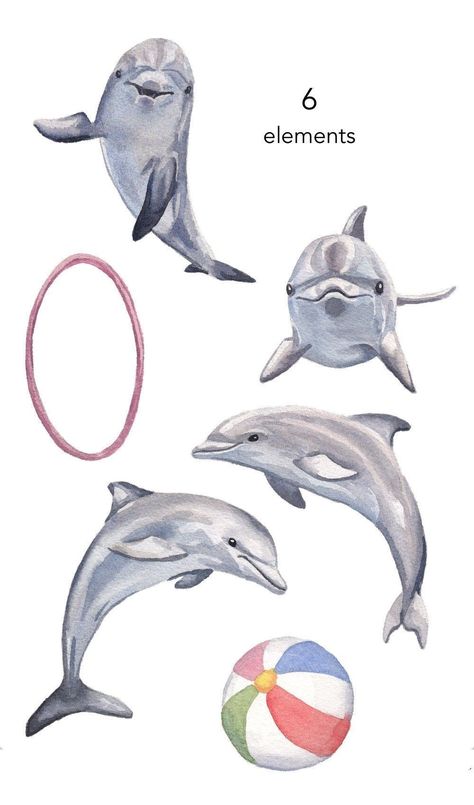 Colourful Creatures: Watercolour Animal Clipart Bonanza Dolphins Illustration, Sea Graphic Design, Dolphin Poster, Dolphin Watercolor, Dolphin Illustration, Watercolour Sea, Dolphin Clipart, Dolphin Drawing, Animal Infographic