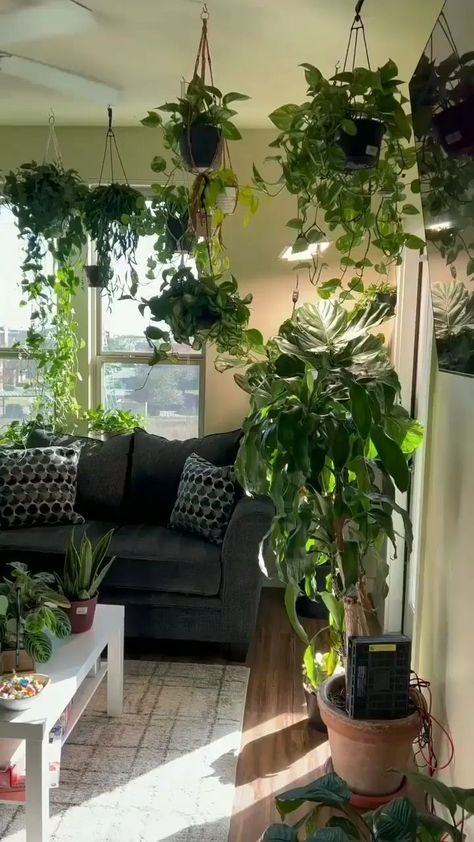 Fake Plant Ideas, Living Room Plants Decor, Fake Hanging Plants, نباتات منزلية, Living Room Plants, Ideas For Living Room, Inside Plants, Plant Ideas, Plant Decor Indoor