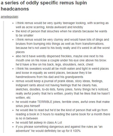 Remus Lupin. Though I think he would conform to the rules a bit more rather than instantly go for something dangerous. Werewolf Remus Lupin, Remus Lupin Quidditch Commentary, Marauders Remus, Universal Harry Potter, Marauders Headcanons, Memes Harry Potter, Awful Puns, Remus And Sirius, About Harry Potter