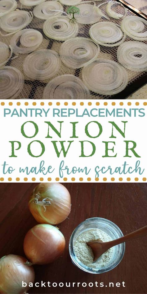 How To Preserve Onions, Preserving Onions, Homemade Onion Powder, Dehydrating Food Storage, Dehydrated Vegetables, Dehydrating Food, Canned Food Storage, Dehydrated Foods, Canning Food Preservation