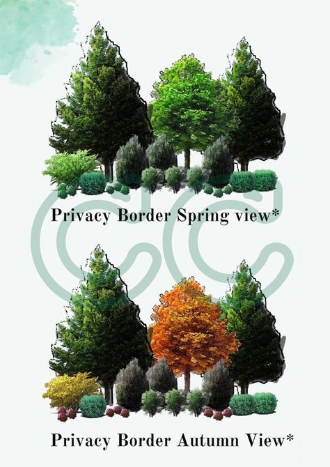 Northwest Native Privacy Border & Food Forest Landscape Design/garden Plan - Etsy Privacy Landscaping Sideyard, Lifestyle Block, Evergreen Landscape, Garden Retreat, Farmhouse Glam, Privacy Landscaping, Backyard Designs, Garden Plan, Dream Yard