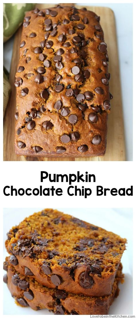 Pumpkin Chocolate Chip Bread - Love to be in the Kitchen Chocolate Chip Bread Recipe, Bread With Chocolate, Pumpkin Bread Easy, Coconut Dessert, Chocolate Chip Bread, Pumpkin Chocolate Chip Bread, Baking Stuff, Brownie Desserts, Pumpkin Chocolate Chip