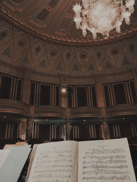 Orchestra Aesthetic, Orchestra Concert, Classical Musicians, Music Practice, College Aesthetic, Concert Aesthetic, Tumblr Aesthetic, Music Aesthetic, Music For Kids