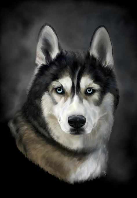 Husky Dog Big - Free image on Pixabay Healthiest Dog Breeds, Wolf Husky, White Husky, A Husky, Dog Poster, Best Dog Breeds, Majestic Animals, Husky Dogs, Dog Sledding