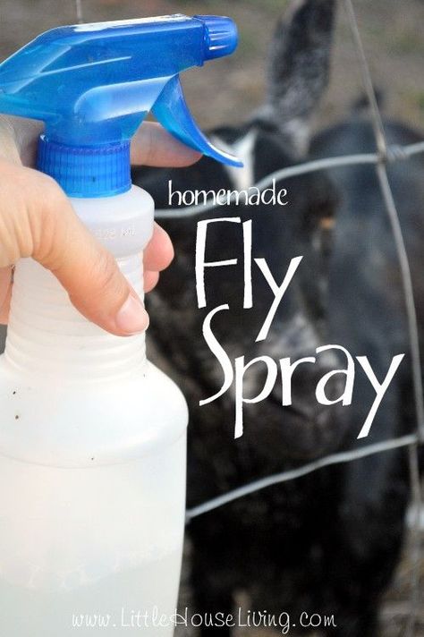 Home Made Fly Spray. All natural spray for your livestock to keep the flies and other bugs from bothering them! Homemade Fly Spray, Fly Spray For Horses, Fly Spray, Insect Spray, Fly Repellant, Horse Fly, Coop Ideas, Bug Repellent, Bug Spray