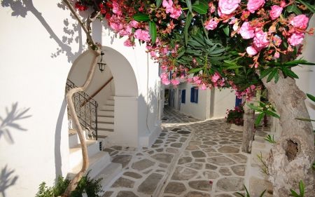 Greece - flowers, streets, village, travel, flower, greece Greece Wallpaper, Santorini Grecia, Santorini Island Greece, Santorini Island, Photo Decor, Poster Pictures, Landscape Illustration, Santorini Greece, Bougainvillea