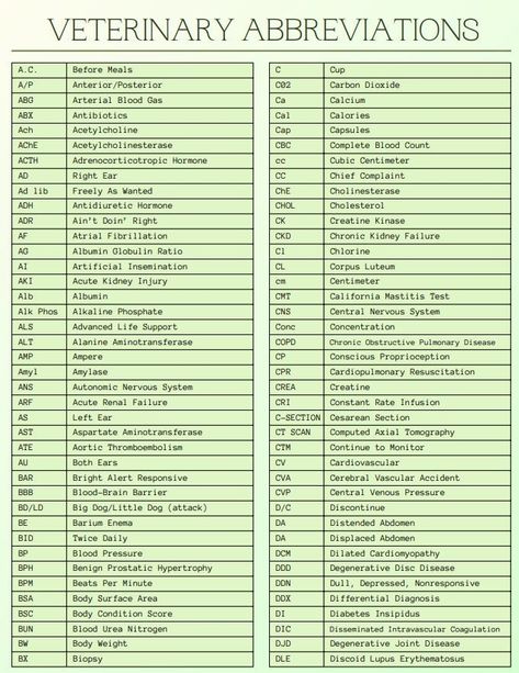 Are you a dedicated veterinary medicine student looking to conquer the world of veterinary terminology and abbreviations? Look no further! Our comprehensive "The Ultimate Guide to Veterinary Medical Abbreviations and Terminology" is here to assist you in mastering the language of veterinary science. What's Included: *Over 200 commonly used abbreviations in veterinary medicine. *A collection of frequently utilized symbols and their meanings. *Listings of essential prefixes and suffixes to empower Vet Terminology, Veterinary Terminology, Vet Tech Notes, Veterinary Medicine Student, Medical Abbreviations, Vet Tech School, Symbols And Their Meanings, Vet Tech Student, Vet Technician