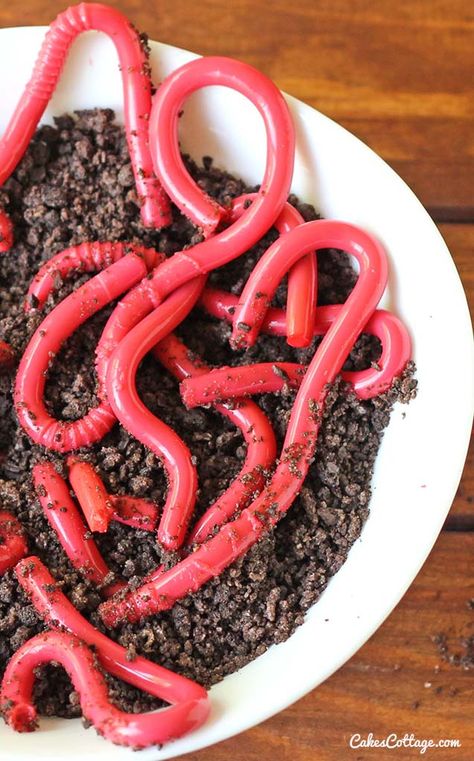 Worm Cake, Jelly Worms, Halloween Jelly, Oreo Dirt, Postres Halloween, Kids Halloween Food, Ghost Cupcakes, How To Make Jelly, Halloween Food Ideas