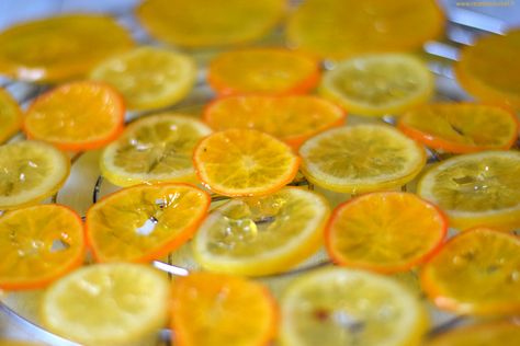 Candied Lemon Slices, Candied Orange Slices, Candied Lemon Peel, Candied Orange, Candied Lemons, Candied Fruit, Dried Oranges, Meyer Lemon, Lemon Slice