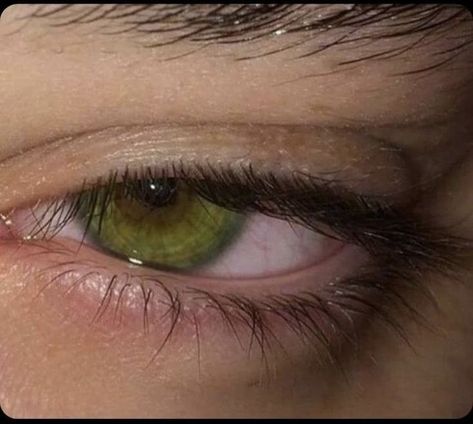 Green Eyes Subliminal, Pretty Eyes Color, Hazel Green Eyes, Beautiful Eyes Color, Eye Photography, Aesthetic Eyes, Hazel Eyes, Eye Art, Pretty Eyes