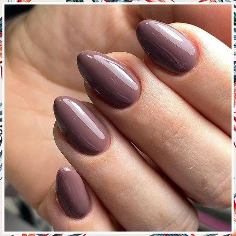 Thanksgiving Nails - The power habits of Smart Consumers - find all you ever needed and get them today. Click to Visit! Expensive Looking Nail Color, Gel Nail Designs For Tan Skin, Gel Manicure For Fall, Almo D Shape Nails, Taupe Colored Nails, Normal Polish Nails, Indian Gel Nail Designs, Sold Nail Colors, Neutral Almond Nails Winter